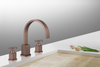 Image of Legion Furniture ZY2511-BB UPC Faucet With Drain, Brown Bronze - Houux