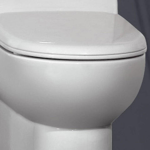 ARIEL Platinum Camilla Elongated Toilet with Dual Flush TB351M - Houux
