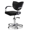 Image of DIR Salon Adjustable Seat Backwash and Styling Chair Salon Package DIR 7088-1088 - Houux