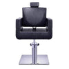Image of DIR Salon Tetris All Purpose Reclining Chair DIR 1294 - Houux